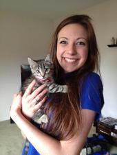 three legged kittens03