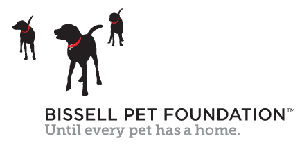 Bissell pet foundation