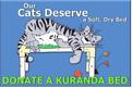 kittydeservelogo